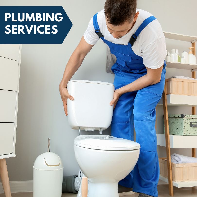 Plumbing Company in Bath, IL